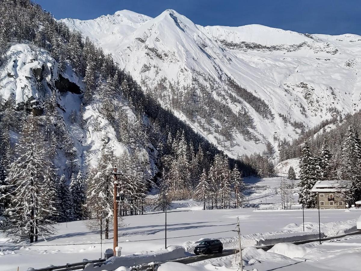 Chalet Rosa Dei Monti Piamprato Exterior photo