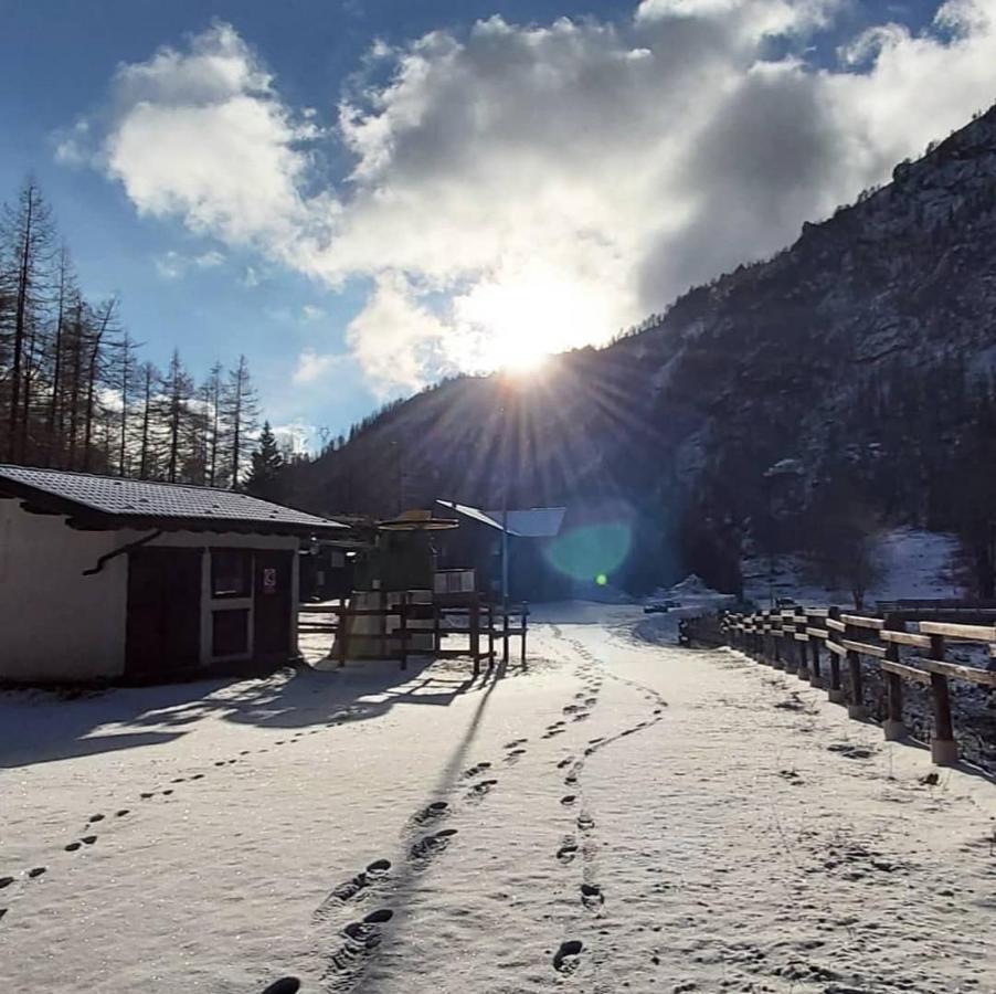 Chalet Rosa Dei Monti Piamprato Exterior photo