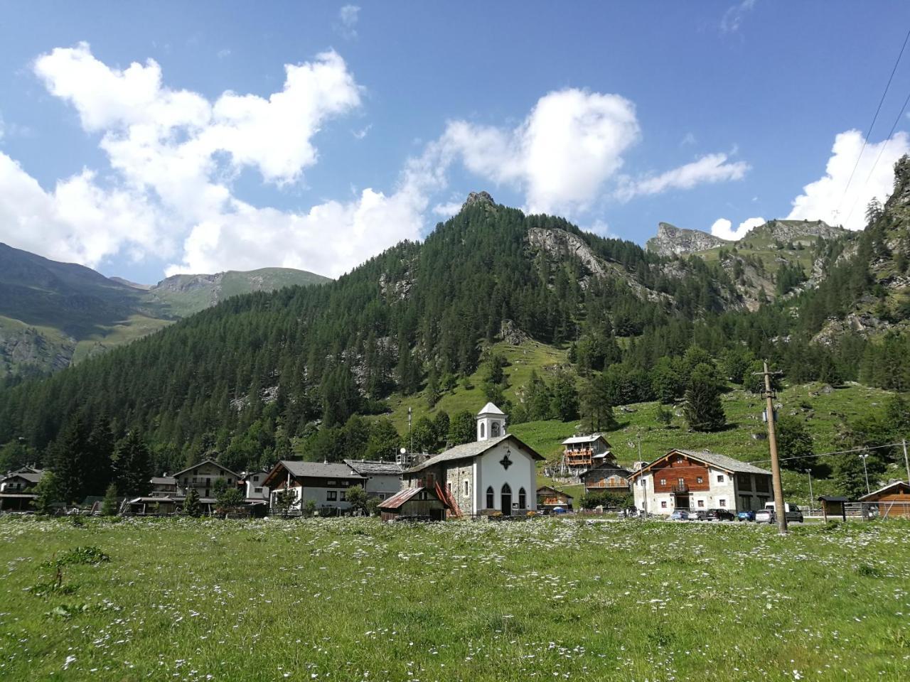 Chalet Rosa Dei Monti Piamprato Exterior photo
